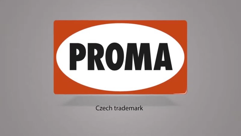 Двухдисковый шлифовальный станок Proma BKS-2500 - изображение